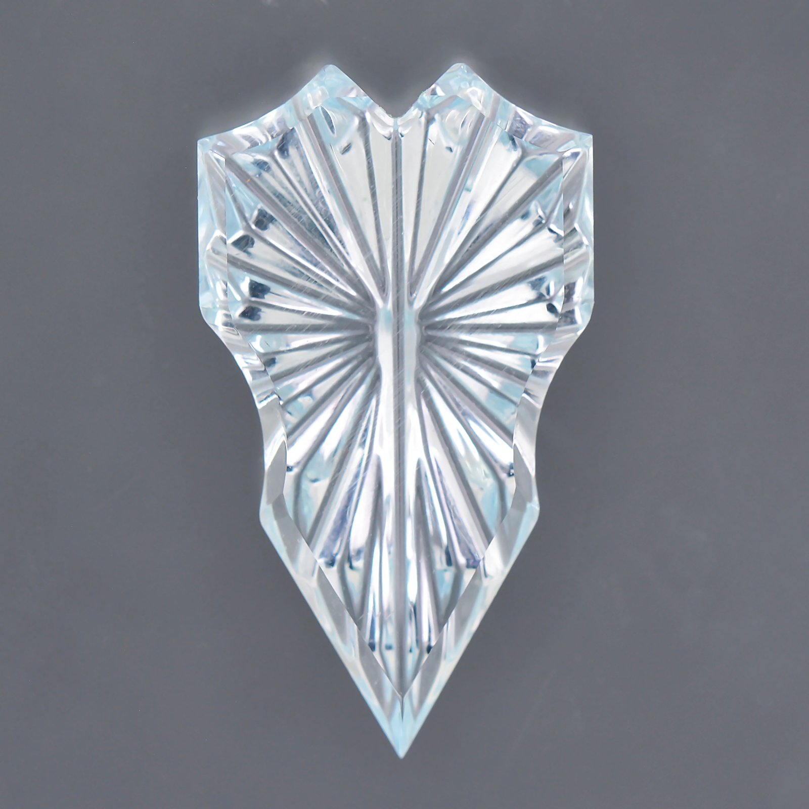 Shield